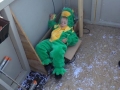 picture-0017